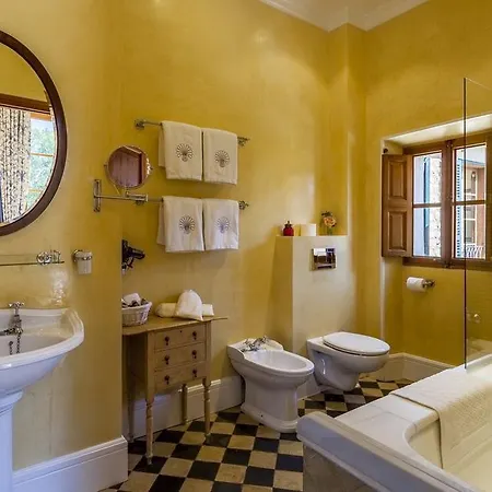 The Salvia - Adults Only Soller