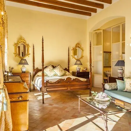 The Salvia - Adults Only Soller